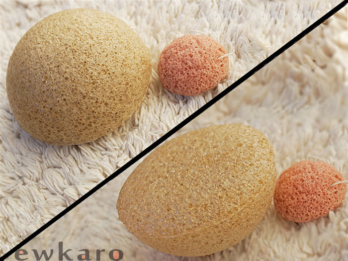 Konjac